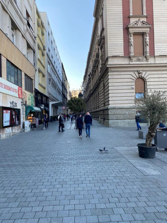 Apartamento Cika Ljuba Belgrado Exterior foto